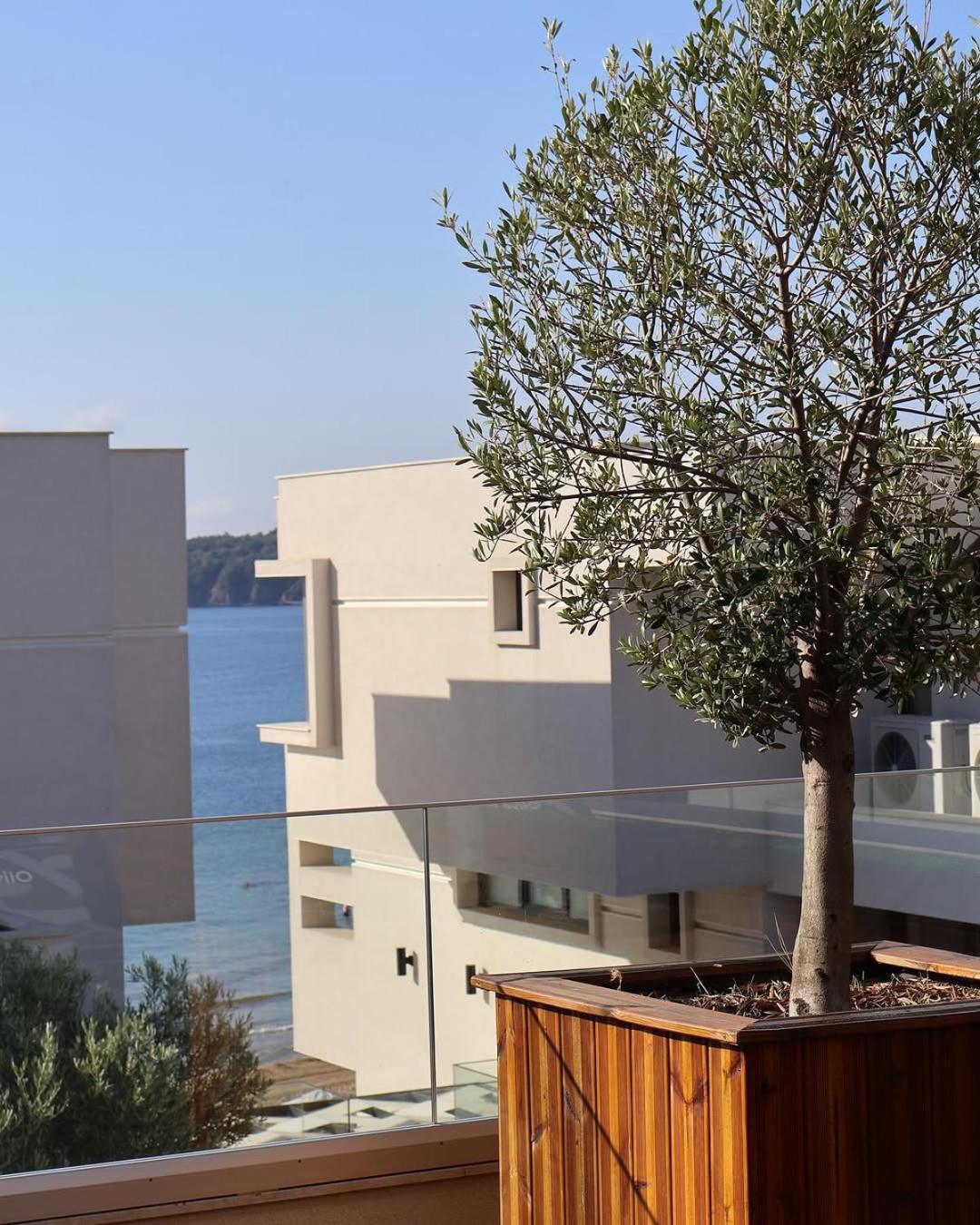 Olive Villas Beach Hotel Sozopol Extérieur photo